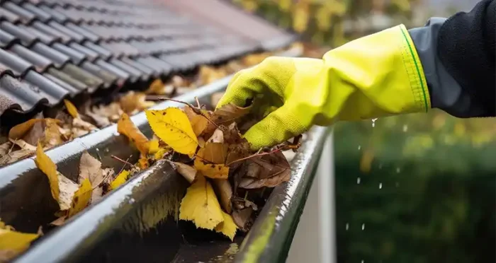 Limpieza de musgo en tejados en Las Palmas de Gran Canaria 35001 y mantenimiento de canalones
